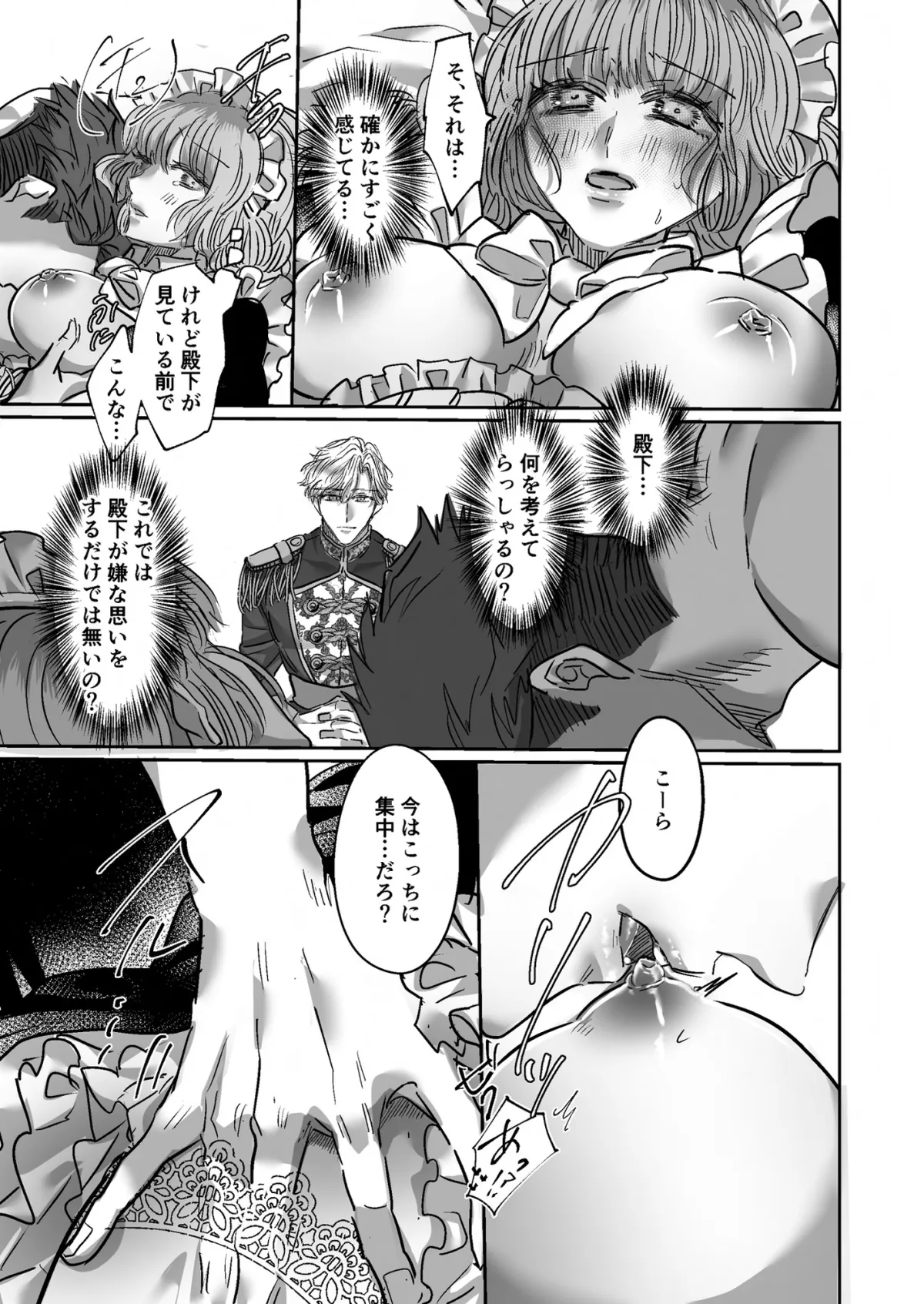 特務メイド~王子と騎士に愛されて~