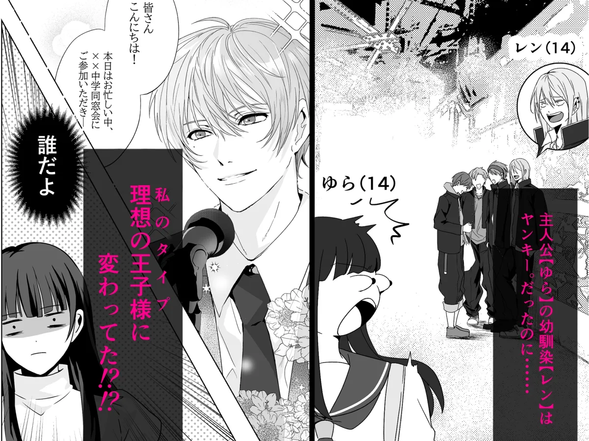 私の理想の王子様がヤンキー幼馴染なんてありえない! 私の理想の王子様がヤンキー幼馴染なんてありえない!