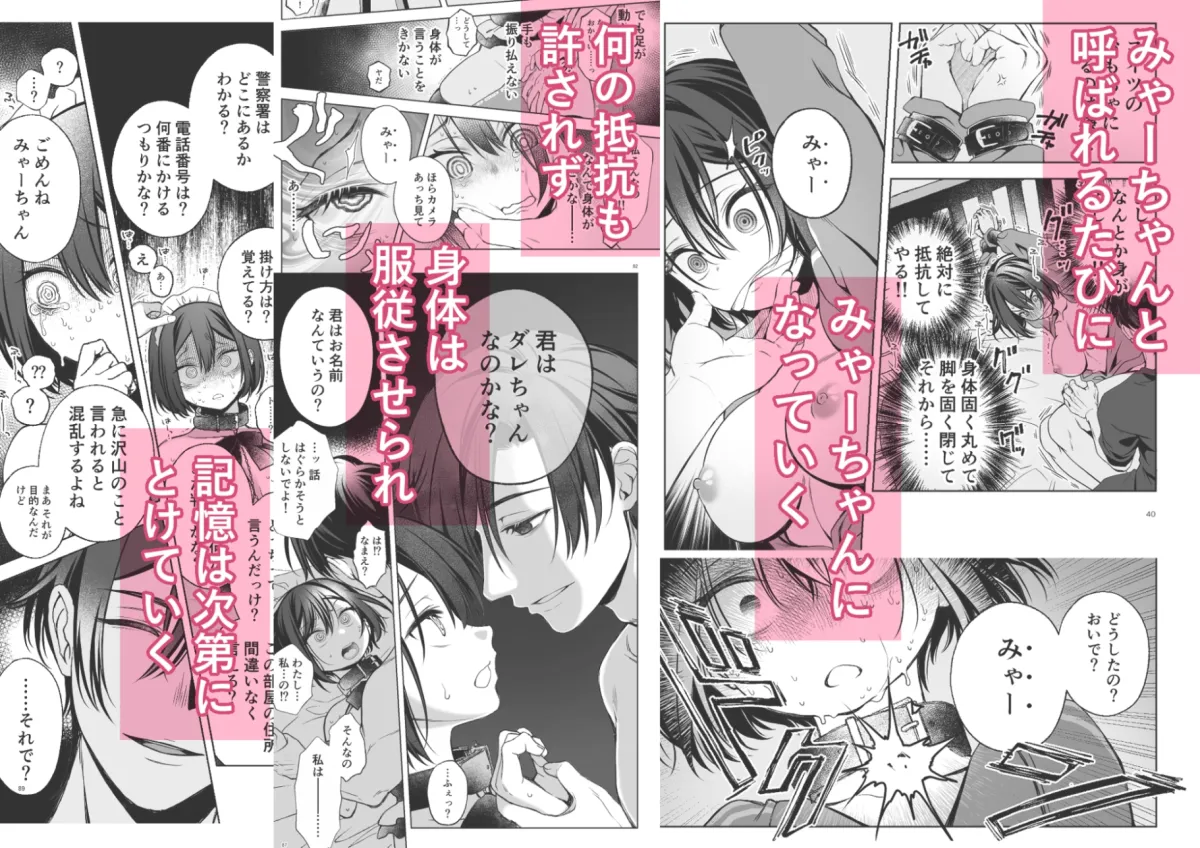 壊れた世界で迷子のみゃーちゃん