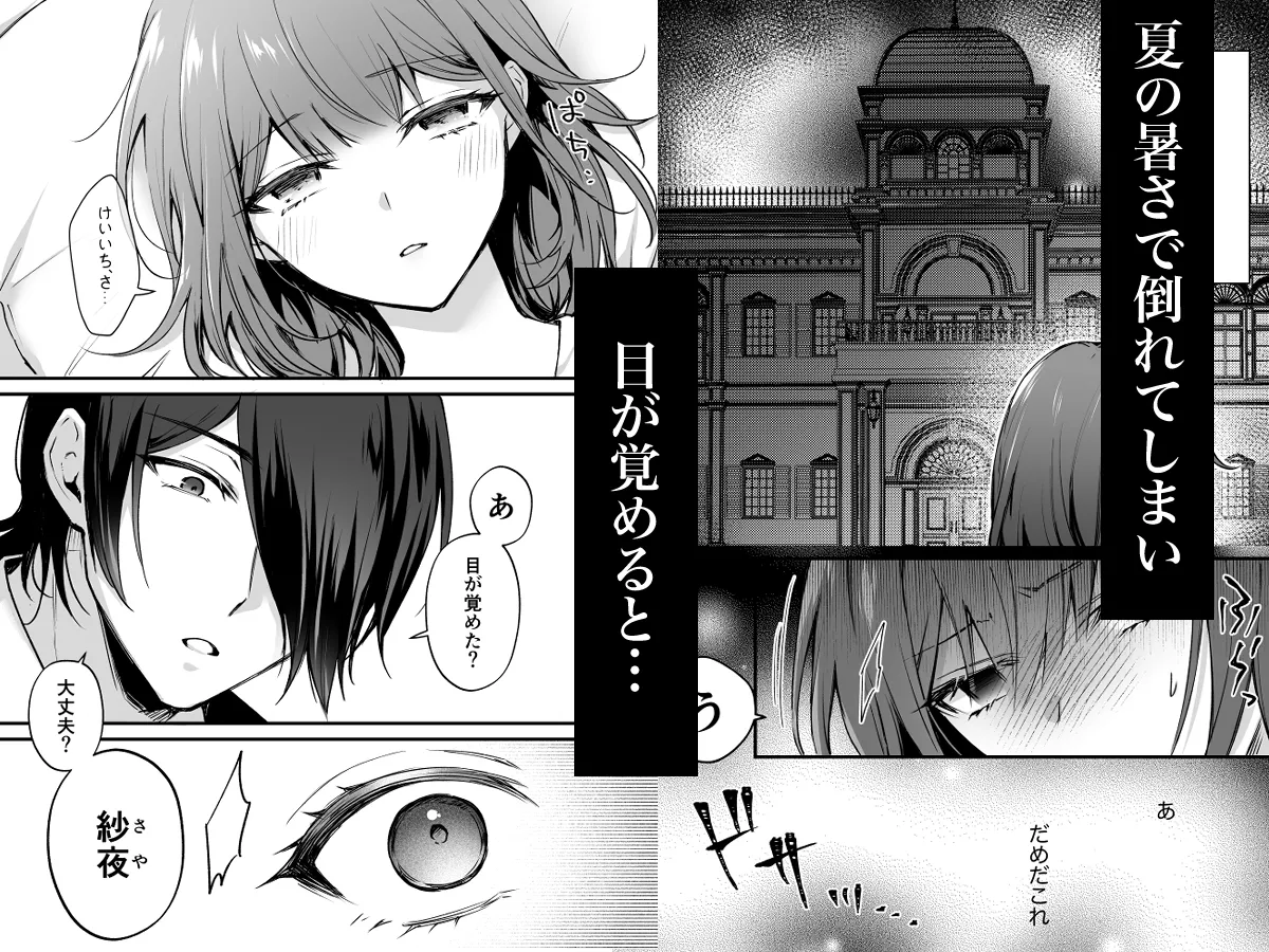 朱夏の邂逅〜前世の旦那様に囚われた私〜 朱夏の邂逅〜前世の旦那様に囚われた私〜