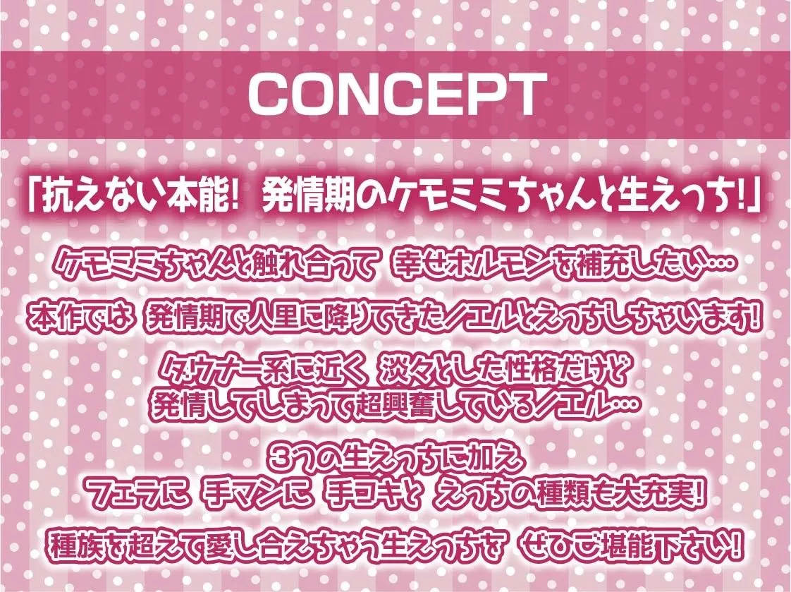 無口ケモミミちゃんと繁殖交尾【フォーリーサウンド】