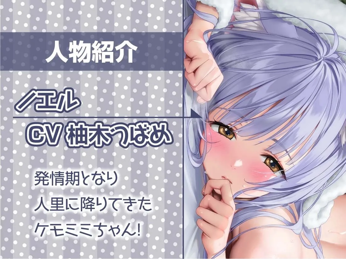 無口ケモミミちゃんと繁殖交尾【フォーリーサウンド】