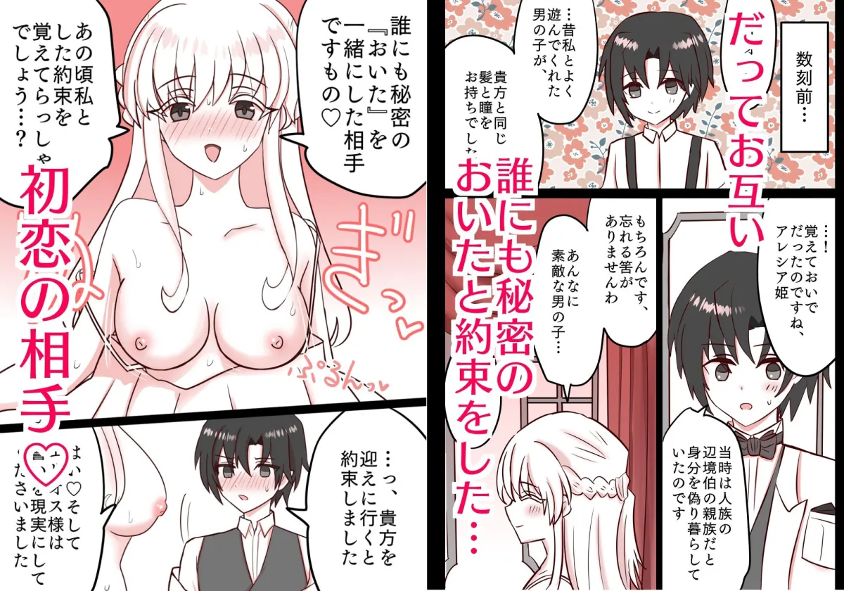 ドスケベ姫君と魔王陛下