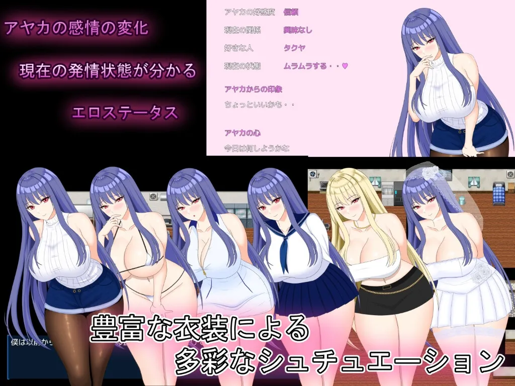 完璧彼女 ～寝取らせ撮影記録～