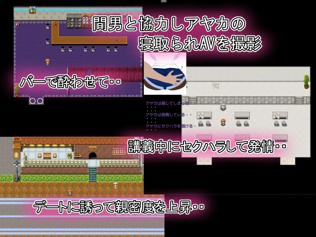 完璧彼女 ～寝取らせ撮影記録～