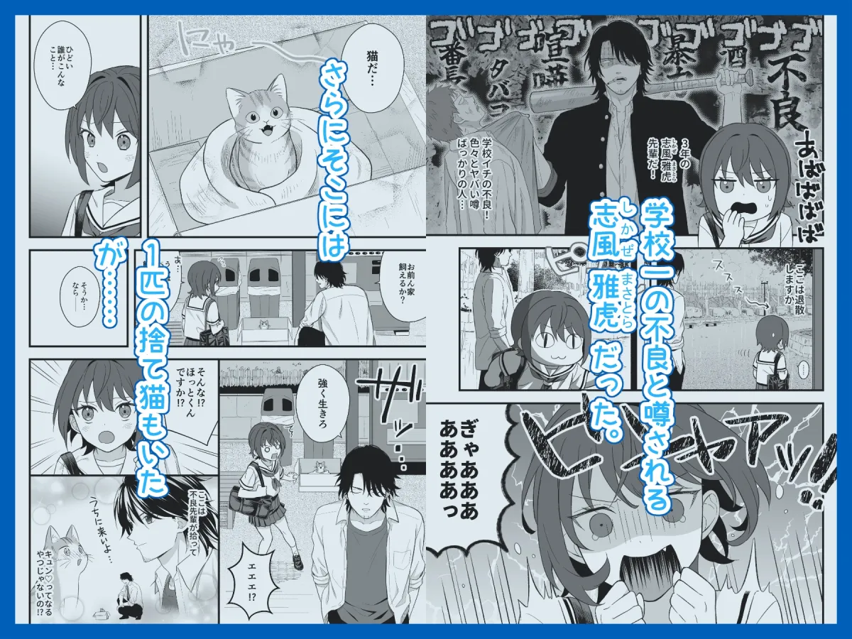 トラわれたのは、雨の午後