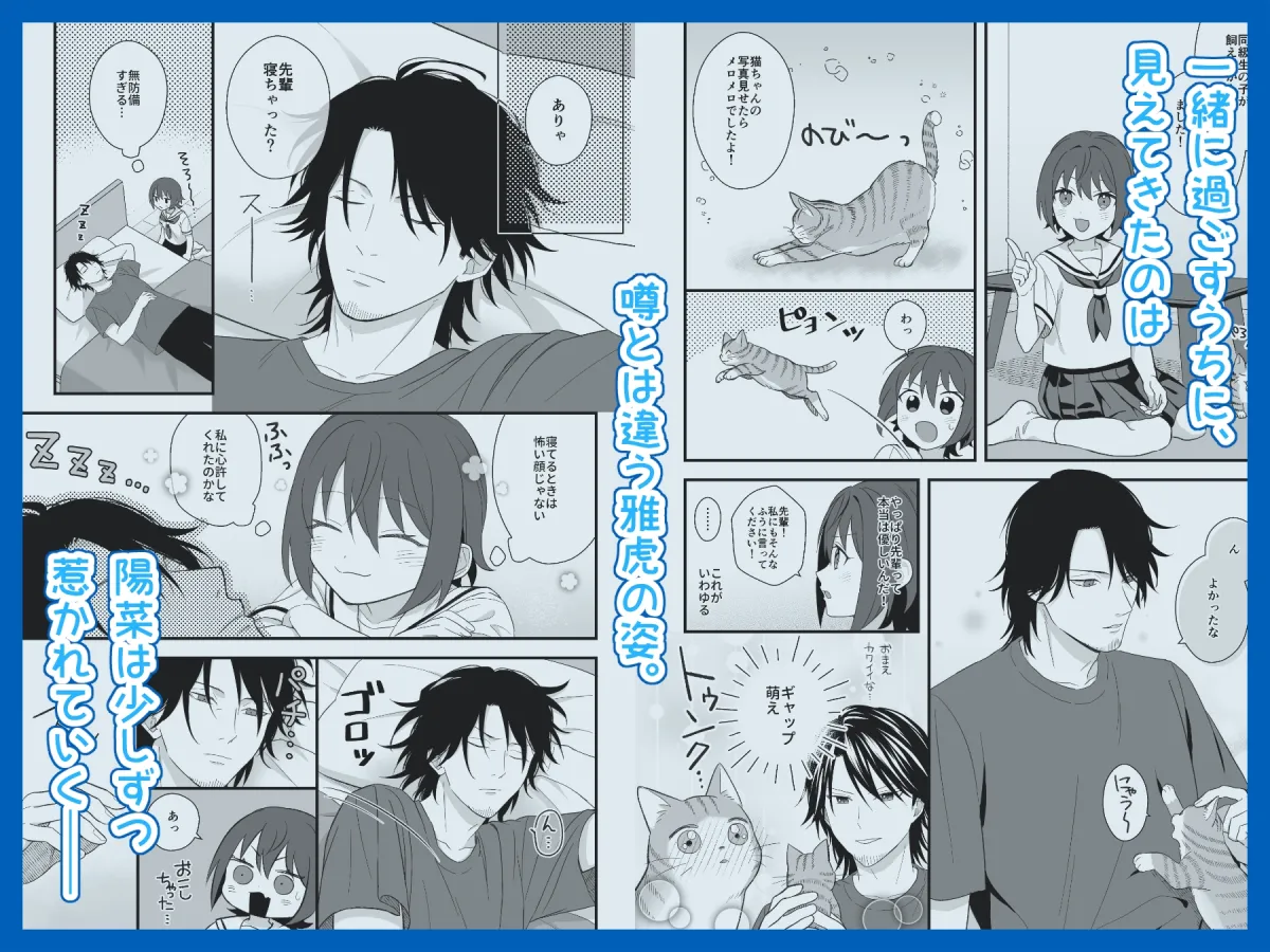 トラわれたのは、雨の午後