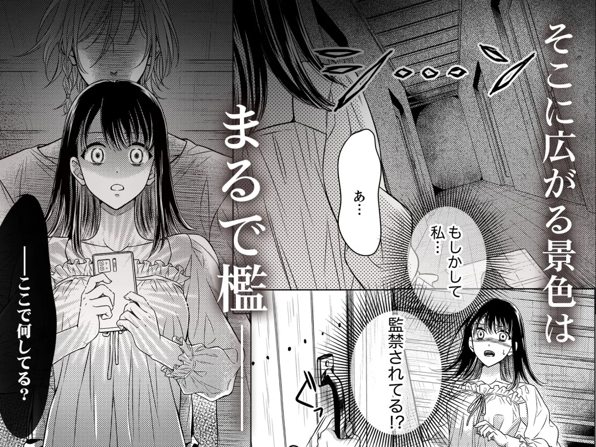 世にも淫らな肉欲の檻～狂愛吸血鬼はエモノをイキ啜る