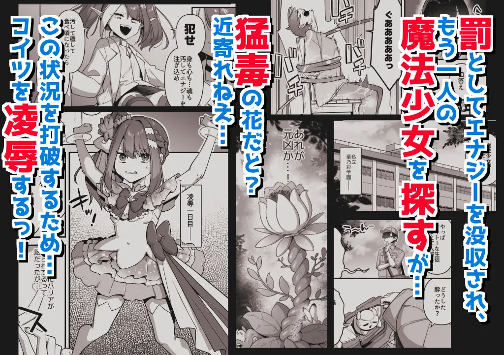 悪の手先になったので。〜魔法少女を凌辱します〜3前編