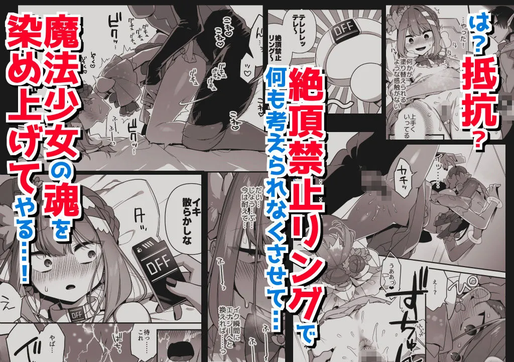 悪の手先になったので。〜魔法少女を凌辱します〜3前編