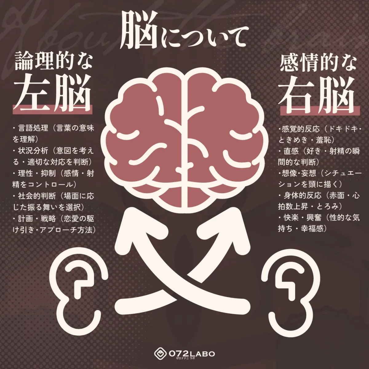 【脳バグ】命令の右耳とドスケベ本心が聞こえる左耳「右耳左耳右脳左脳」〜とても厳しい射精管理官★低音ボイスお姉さんの本音〜【射精管理官の本音】 【脳バグ】命令の右耳とドスケベ本心が聞こえる左耳「右耳左耳右脳左脳」〜とても厳しい射精管理官★低音ボイスお姉さんの本音〜【射精管理官の本音】