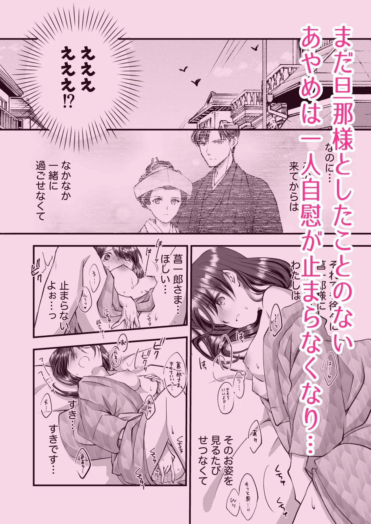 旦那さま、今日こそ抱いて頂きます！