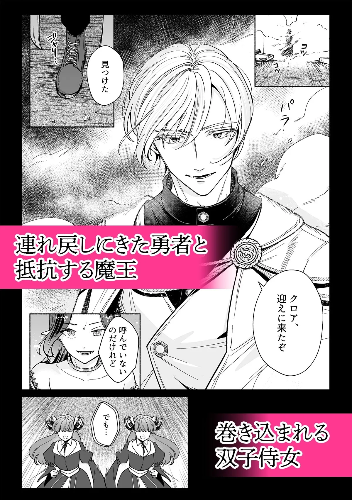 魔王は勇者の妻ですが家出します! 魔王は勇者の妻ですが家出します!