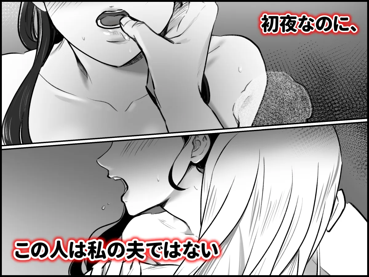 略奪された花嫁の初夜 略奪された花嫁の初夜