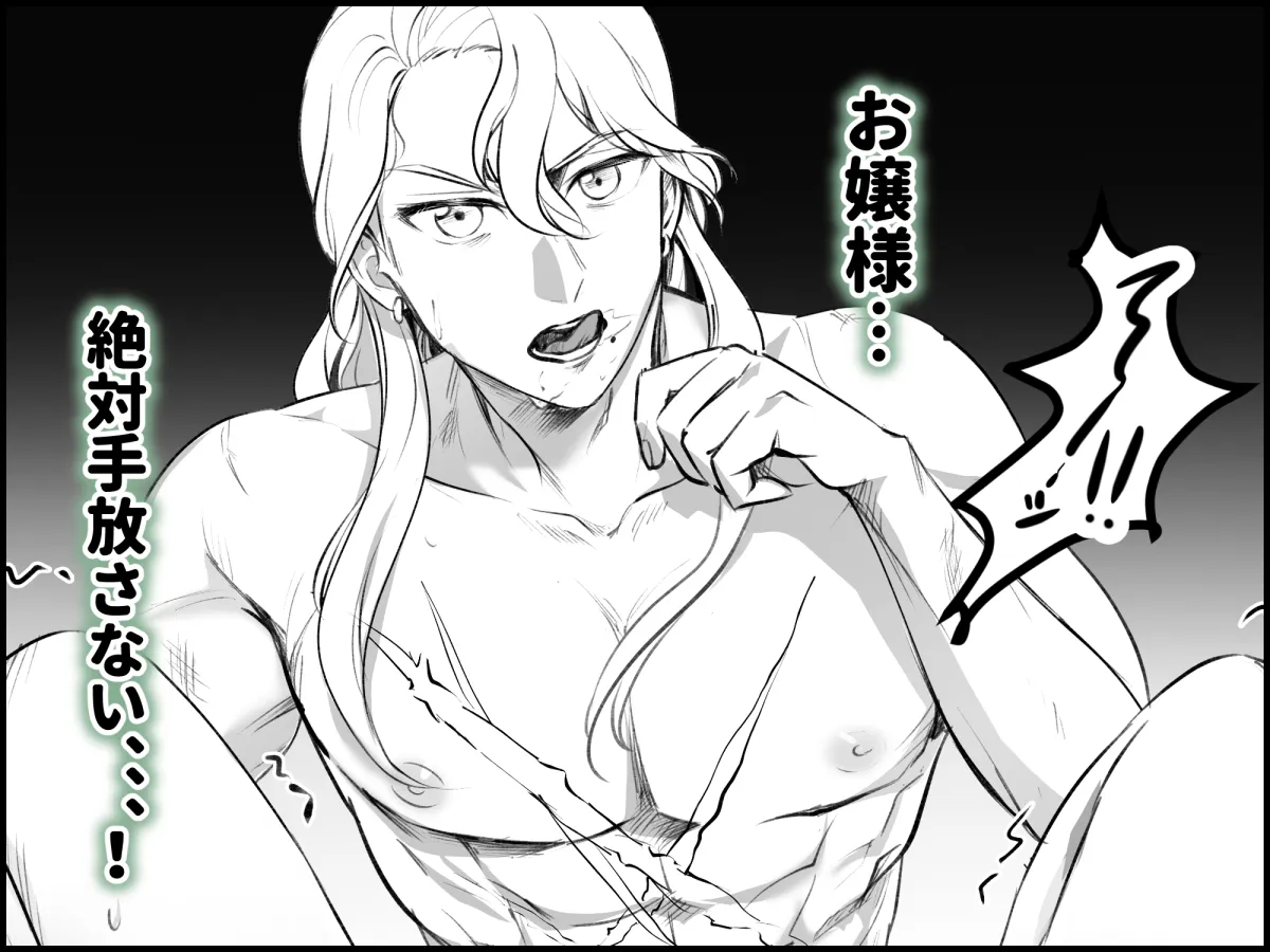 略奪された花嫁の初夜 略奪された花嫁の初夜