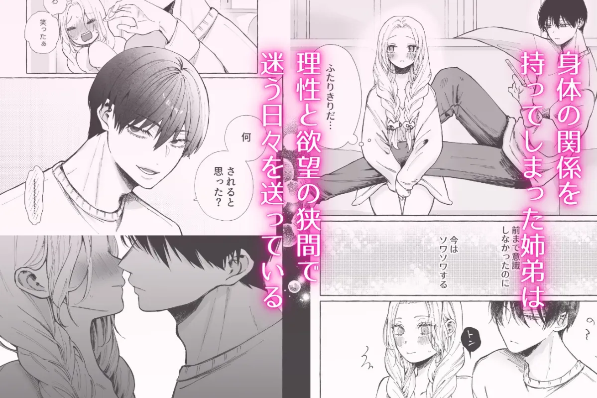 姉弟だけど挿れなければえっちじゃないよね2 姉弟だけど挿れなければえっちじゃないよね2