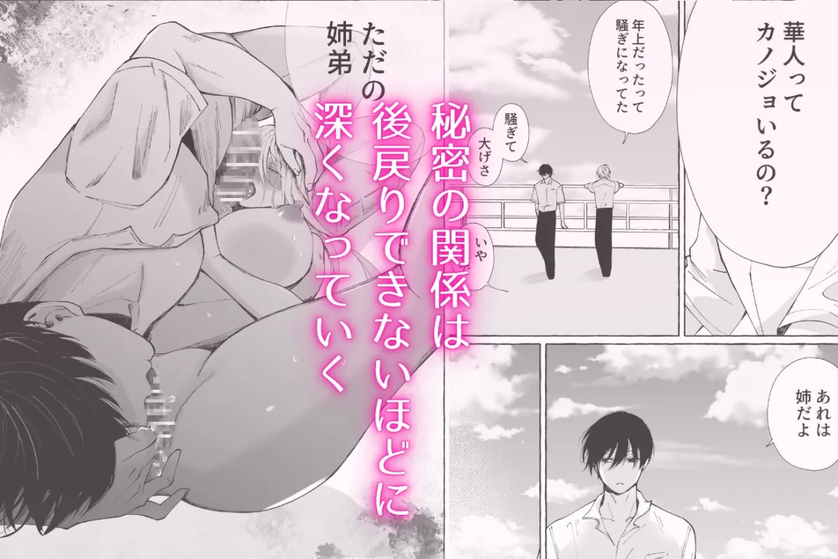 姉弟だけど挿れなければえっちじゃないよね2 姉弟だけど挿れなければえっちじゃないよね2