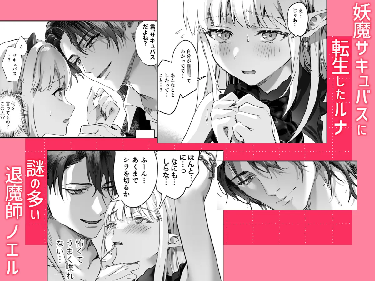 ワケアリ退魔師は転生サキュバスと死を賭けた恋をする ワケアリ退魔師は転生サキュバスと死を賭けた恋をする