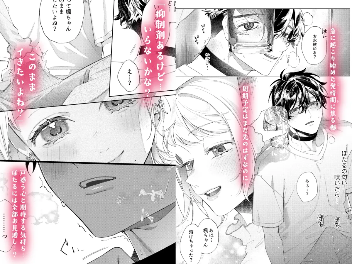 聡い彼女 愛しいこの子は俺の番 聡い彼女 愛しいこの子は俺の番