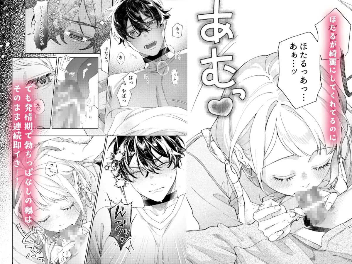 聡い彼女 愛しいこの子は俺の番 聡い彼女 愛しいこの子は俺の番