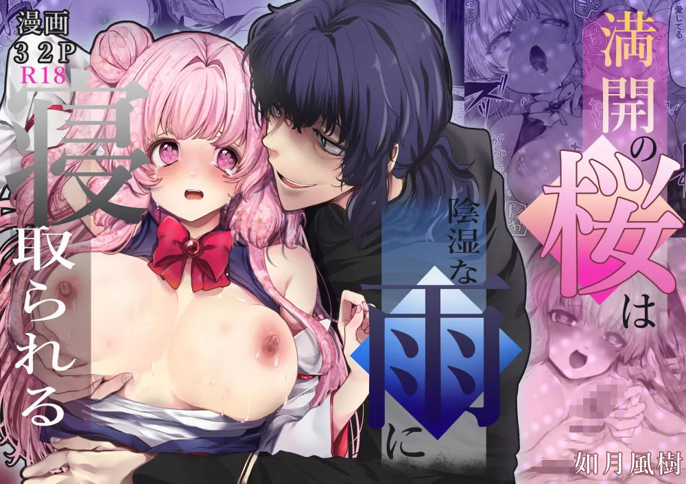 満開の桜は陰湿な雨に寝取られる