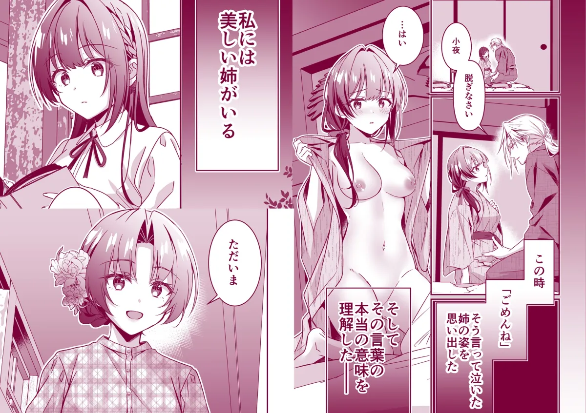 姉の代わりに嫁いだ私を孕ませて下さい 姉の代わりに嫁いだ私を孕ませて下さい