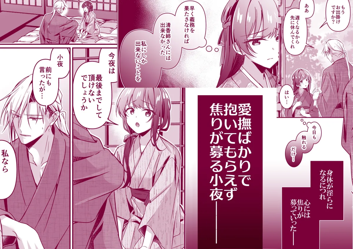 姉の代わりに嫁いだ私を孕ませて下さい 姉の代わりに嫁いだ私を孕ませて下さい