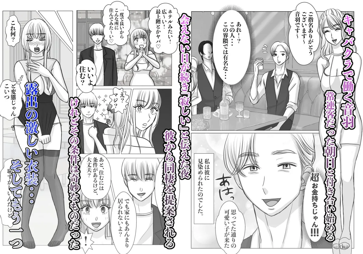 愛されたいだけだったのに・・・気づいたら私、彼らのオモチャでした。-愛人NTRフォルダ:rec保存済み