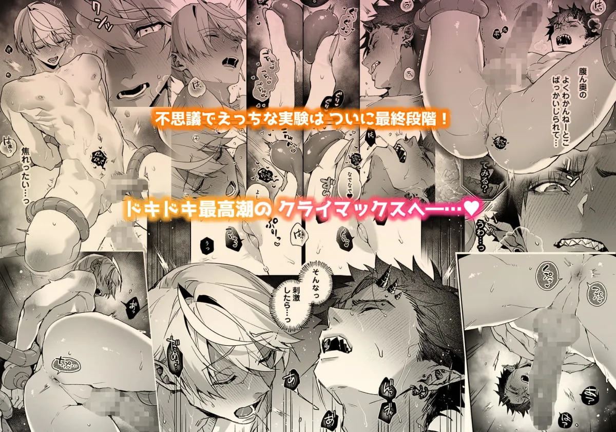 らぶりあっ!〜もしも君が僕らと感覚共有する人形を弄んだら〜 (3) らぶりあっ!〜もしも君が僕らと感覚共有する人形を弄んだら〜 (3)