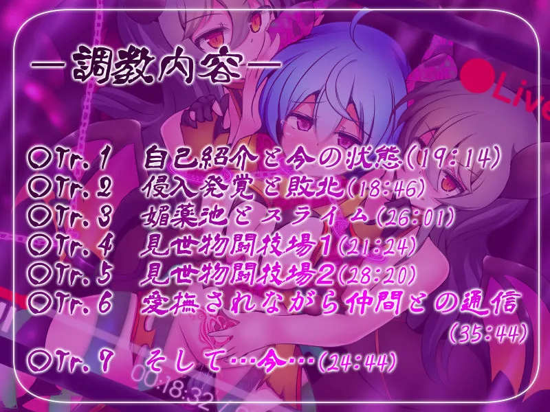 正義のヒロイン -クォルタ ヘリオディル- が完全敗北するまでの告白記録 正義のヒロイン -クォルタ ヘリオディル- が完全敗北するまでの告白記録