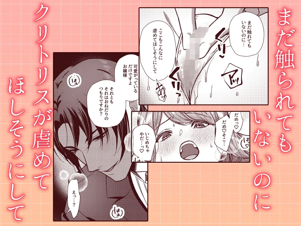 狼執事のとろとろお仕置き日記