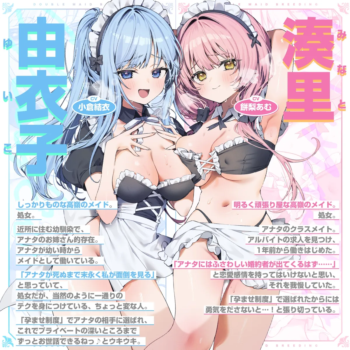 孕ませWメイド ～妊娠100%の女の子が奇跡的に僕のメイドさん二人共だった件について～《!早期購入特典!》