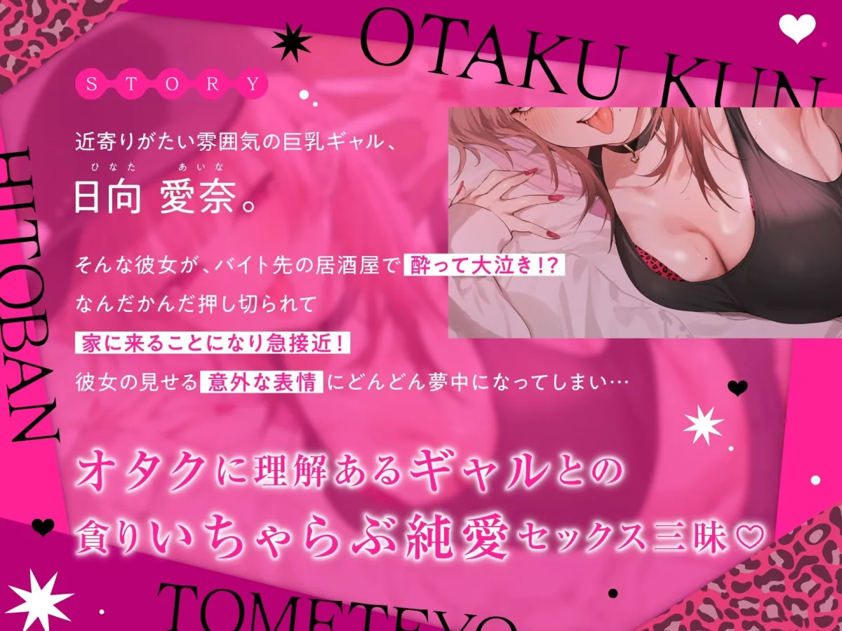 一晩泊めてよ、オタクくん 音声編 一晩泊めてよ、オタクくん 音声編