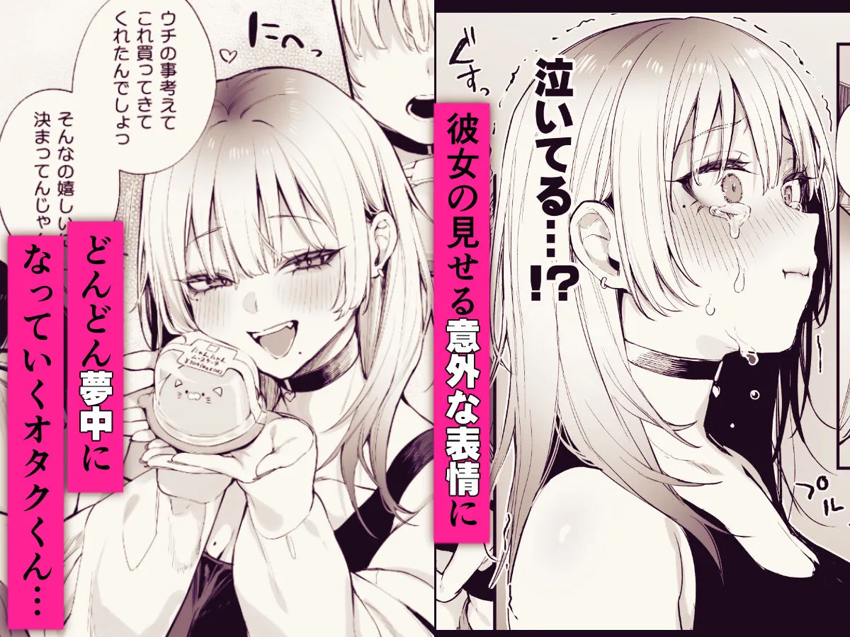 一晩泊めてよ、オタクくん