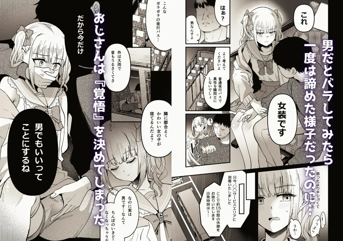 メスオチトリップ