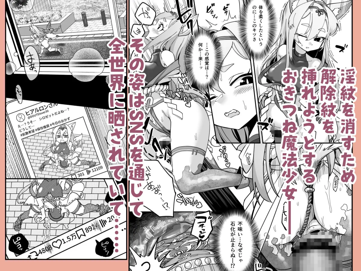 魔法少女ぎんぎつね えっちなスタンプラリーで石化中毒!! 魔法少女ぎんぎつね えっちなスタンプラリーで石化中毒!!