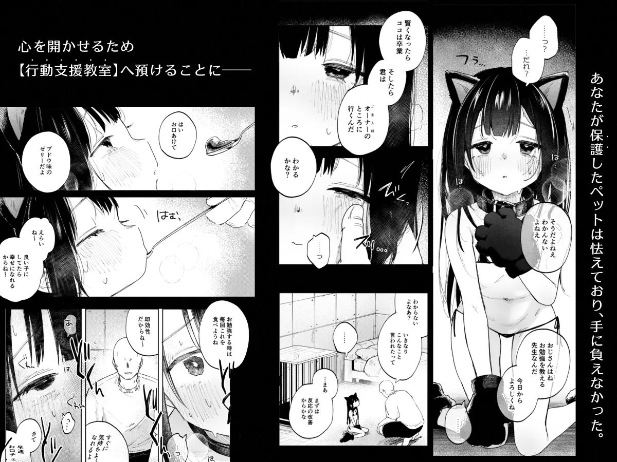 調整記録 ご主人様(あなた)の元へ届くまで 調整記録 ご主人様(あなた)の元へ届くまで