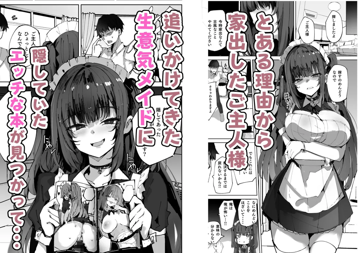 生意気メイドにかくしてたえっちな本が見つかってばかにされながらえっちする話 生意気メイドにかくしてたえっちな本が見つかってばかにされながらえっちする話