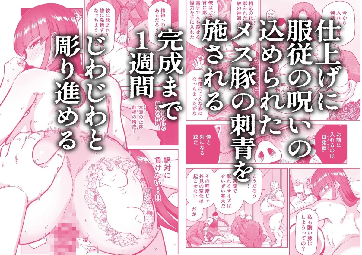 雌豚紋紋 雌豚紋紋