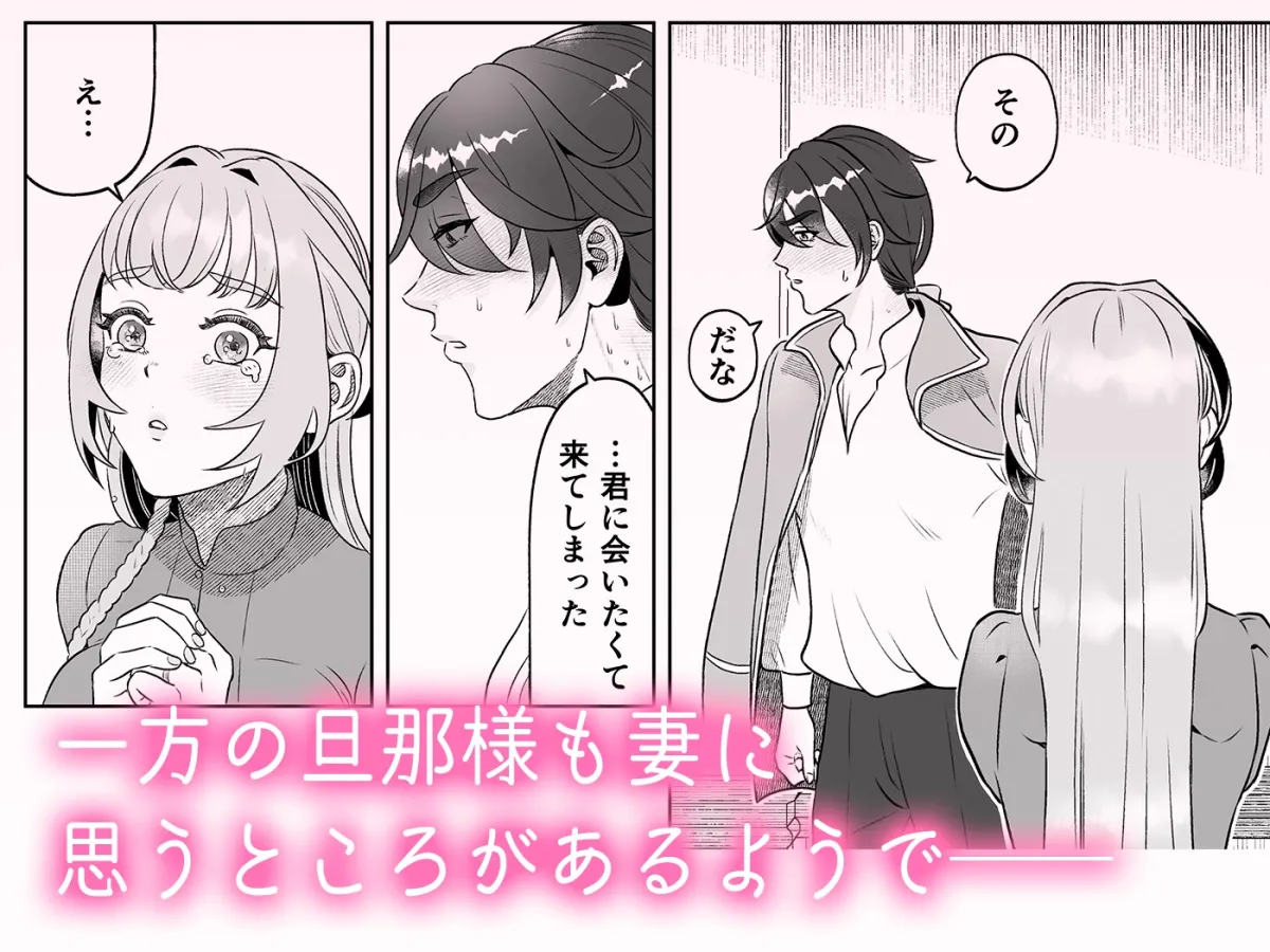 嫌われ伯爵の子作り妻 嫌われ伯爵の子作り妻