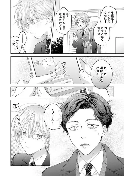 子猫くんのペット 子猫くんのペット