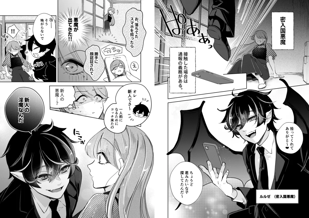 淫魔対策は万全です!? 淫魔対策は万全です!?