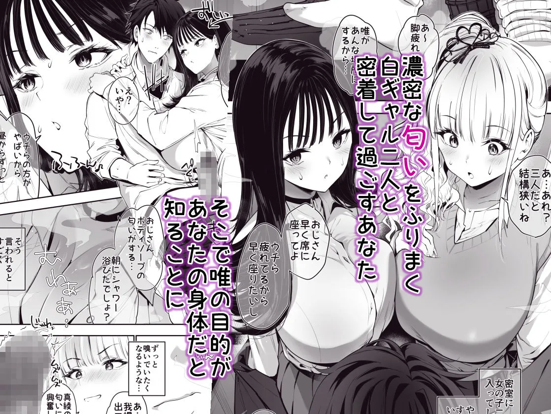 街で出会ったデカ乳白ギャル達には濃密種付けHされたい秘密の理由がある 街で出会ったデカ乳白ギャル達には濃密種付けHされたい秘密の理由がある