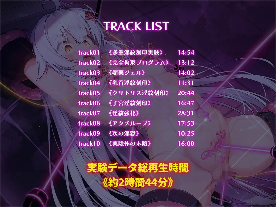 絶対服従プログラムVI  実験体4098  〜多重淫紋刻印実験〜