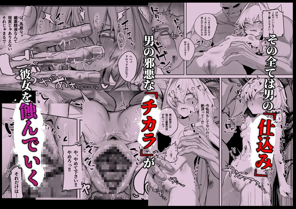 散華 ~最強格闘娘 メス堕ちレイプ~