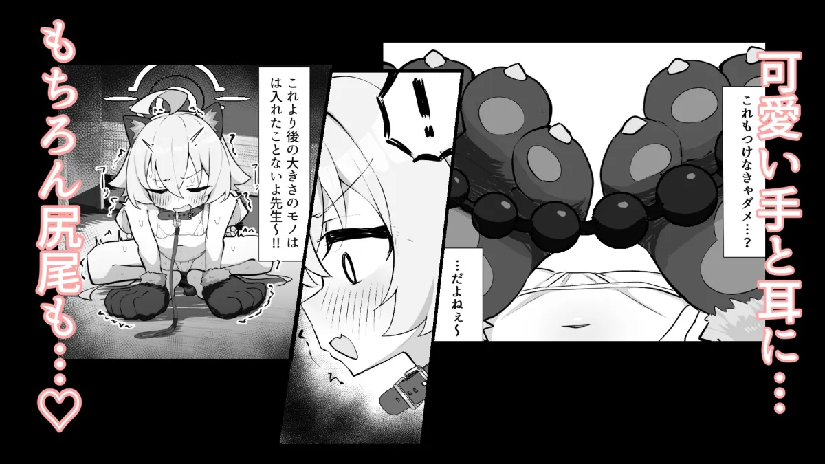 ホシノとペット性活 ホシノとペット性活