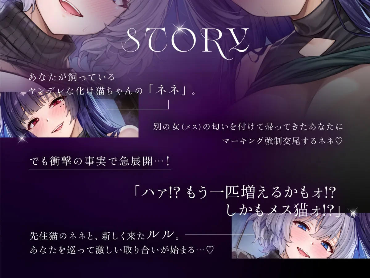 【本編対応CGイラスト200枚以上】うちのヤンデレな飼い猫ちゃん×2にメチャクチャに搾られちゃう話【Wハーレム】 【本編対応CGイラスト200枚以上】うちのヤンデレな飼い猫ちゃん×2にメチャクチャに搾られちゃう話【Wハーレム】