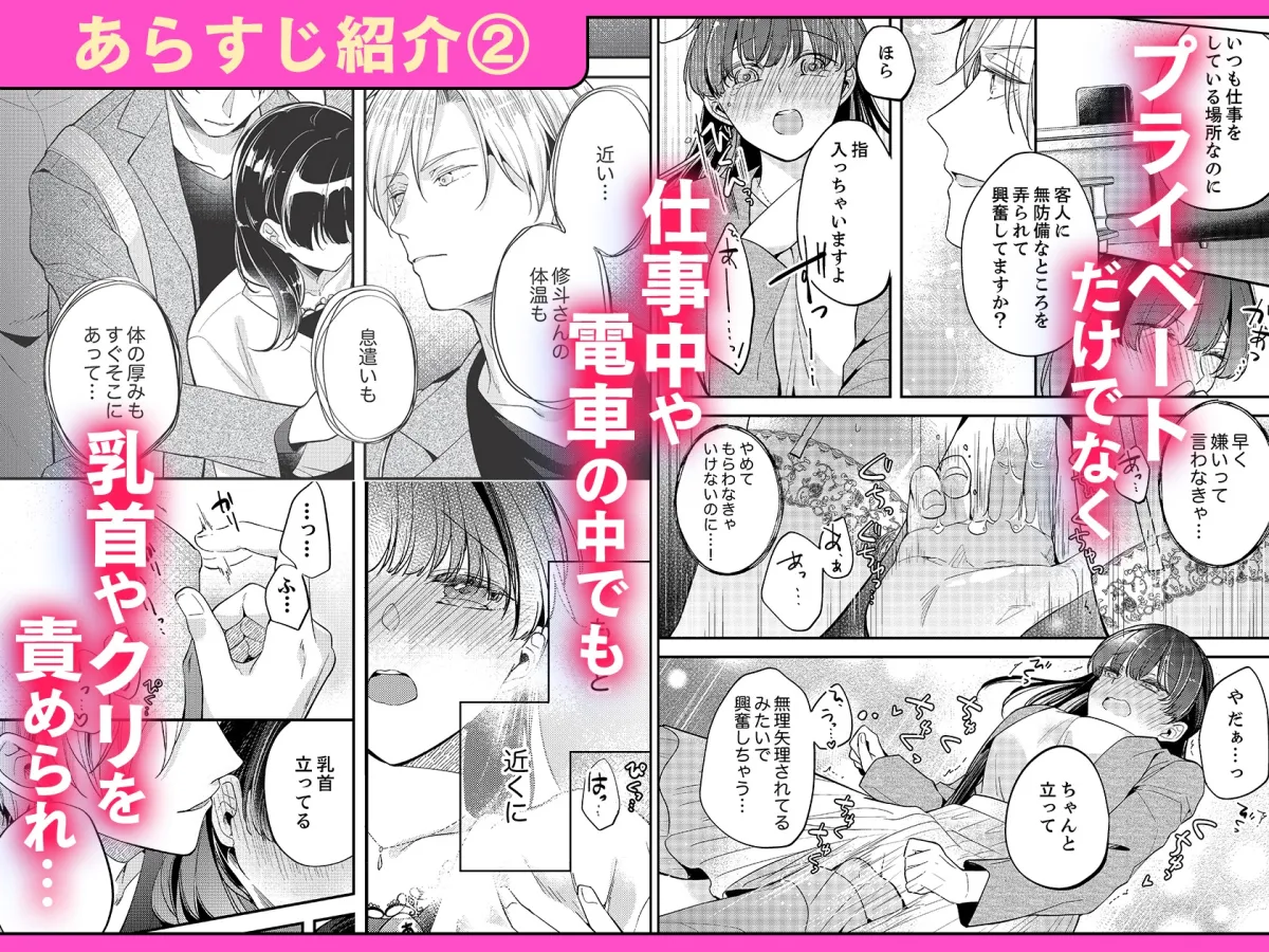 性欲結婚～絶倫な旦那様とケダモノSEX 1・2巻セット