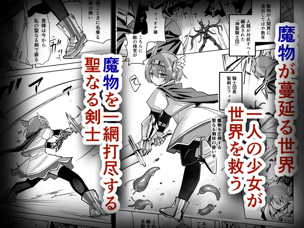 聖剣士フィオナ 聖剣士フィオナ