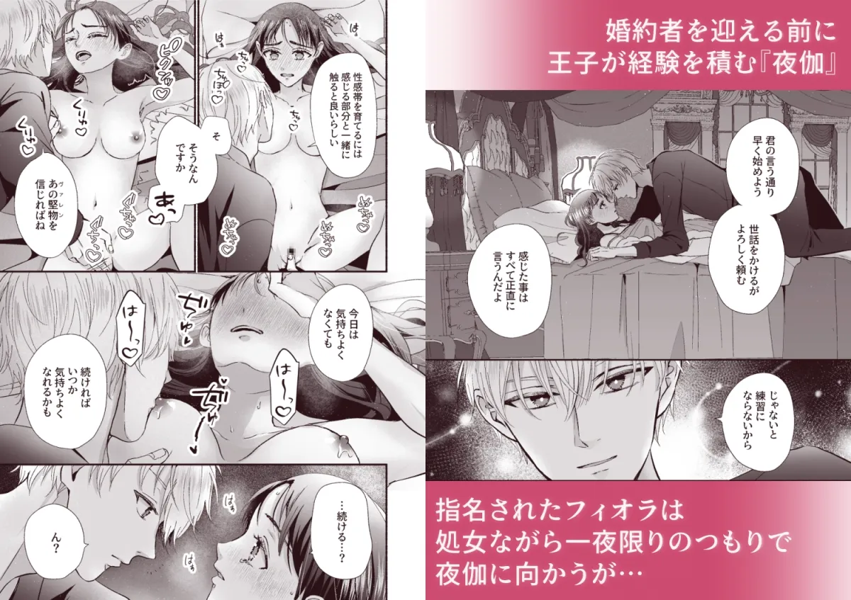 王子の夜伽は終わらない 王子の夜伽は終わらない